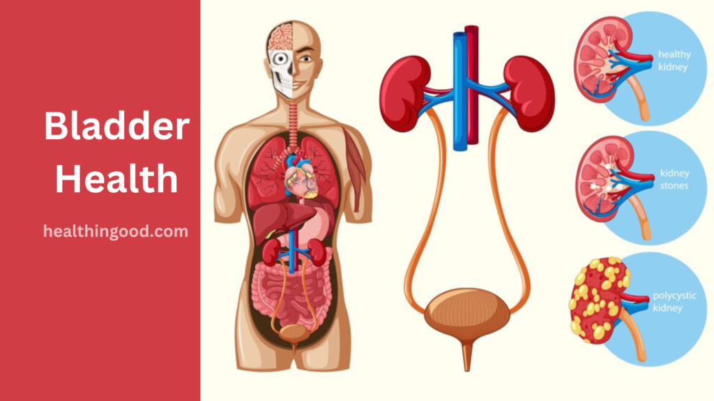 How to Keep Your Bladder Healthy 10 Tips for Optimal Bladder Care