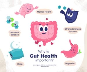 Functions of Gut